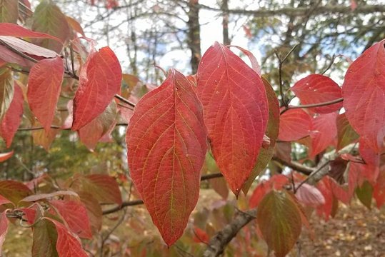 Tour image 5