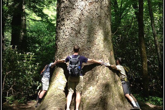 Tour image 3