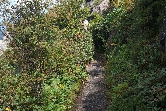 Tour image 5