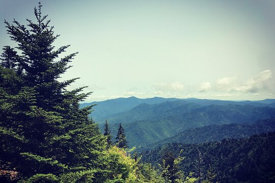 Tour image 2