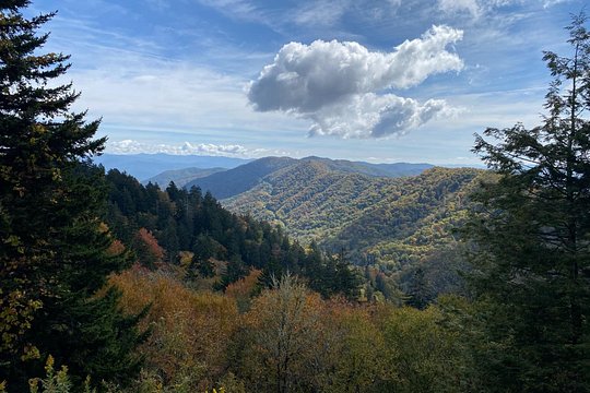 Tour image 4